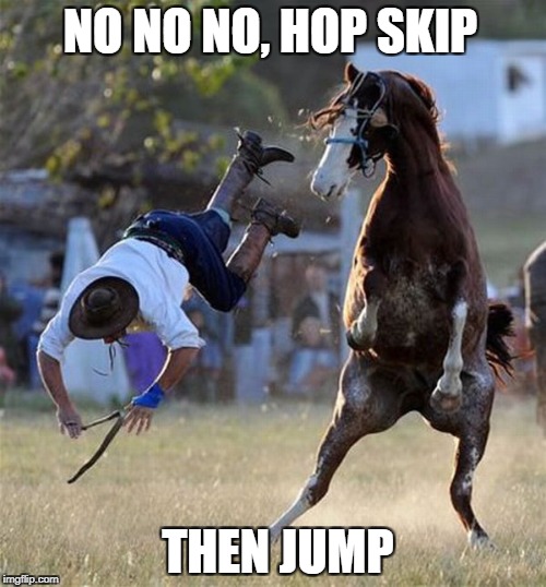 Horse fall | NO NO NO, HOP SKIP; THEN JUMP | image tagged in horse fall | made w/ Imgflip meme maker