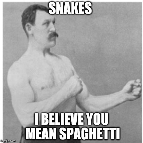 Overly Manly Man Meme | SNAKES; I BELIEVE YOU MEAN SPAGHETTI | image tagged in memes,overly manly man | made w/ Imgflip meme maker