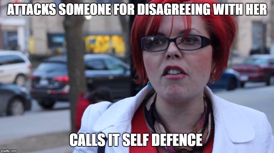 Feminazi | ATTACKS SOMEONE FOR DISAGREEING WITH HER; CALLS IT SELF DEFENCE | image tagged in feminazi | made w/ Imgflip meme maker