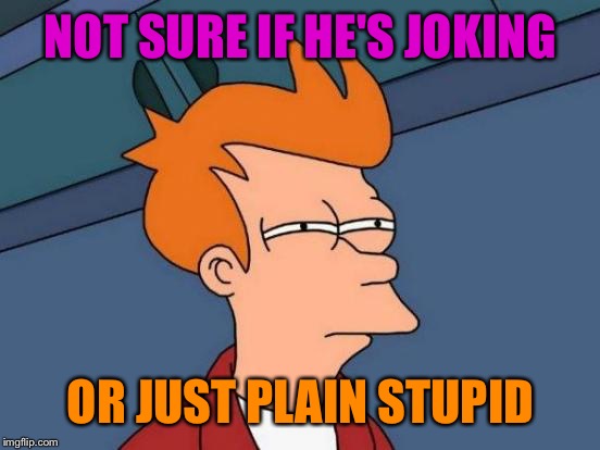 Futurama Fry Meme | NOT SURE IF HE'S JOKING OR JUST PLAIN STUPID | image tagged in memes,futurama fry | made w/ Imgflip meme maker