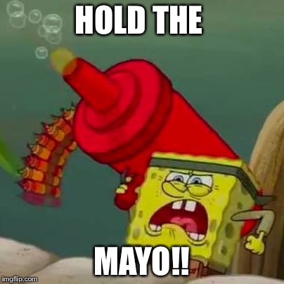 german spongebob | HOLD THE; MAYO!! | image tagged in german spongebob | made w/ Imgflip meme maker