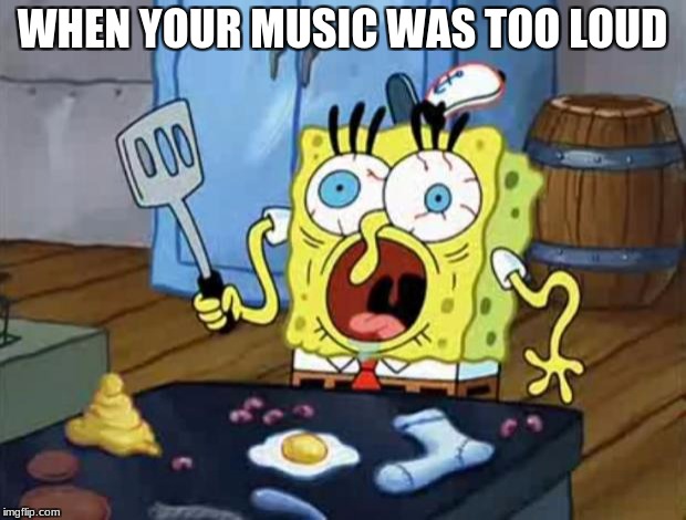 Spongebob cook | WHEN YOUR MUSIC WAS TOO LOUD | image tagged in spongebob cook | made w/ Imgflip meme maker