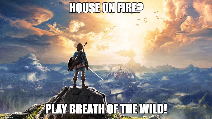 House On Fire? | HOUSE ON FIRE? PLAY BREATH OF THE WILD! | image tagged in memes,the legend of zelda breath of the wild,funny,lol,haha,hahaha | made w/ Imgflip meme maker
