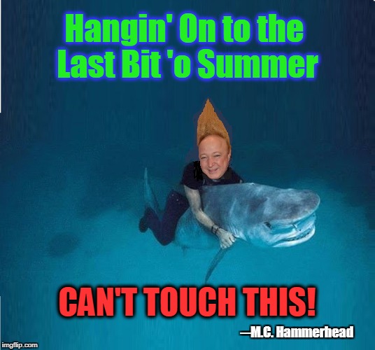 Saying Goodbye to the Summer of '17 | Hangin' On to the Last Bit 'o Summer; CAN'T TOUCH THIS! ─M.C. Hammerhead | image tagged in vince vance,tall hair dude,riding a shark,shark week,what real men do,ocean | made w/ Imgflip meme maker