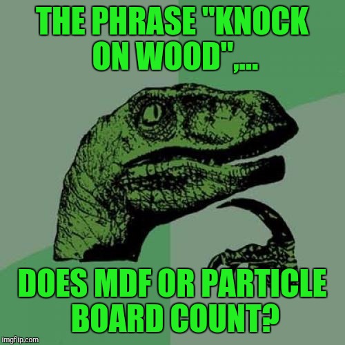 Philosoraptor | THE PHRASE "KNOCK ON WOOD",... DOES MDF OR PARTICLE BOARD COUNT? | image tagged in memes,philosoraptor,sewmyeyesshut | made w/ Imgflip meme maker