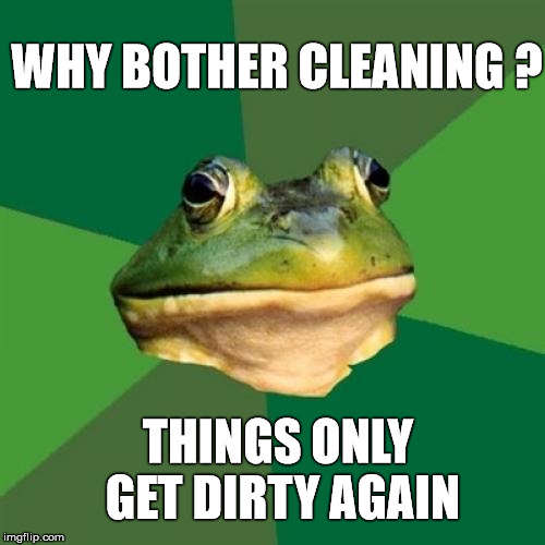 Foul Bachelor Frog |  WHY BOTHER CLEANING ? THINGS ONLY GET DIRTY AGAIN | image tagged in memes,foul bachelor frog,clean,dirt,frog | made w/ Imgflip meme maker