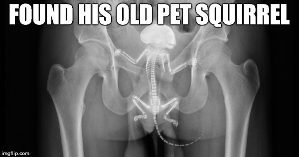 FOUND HIS OLD PET SQUIRREL | made w/ Imgflip meme maker