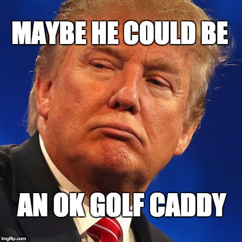Trump: maybe he could be an OK gold caddy | MAYBE HE COULD BE; AN OK GOLF CADDY | image tagged in trump,donald trump | made w/ Imgflip meme maker