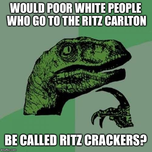 Philosoraptor Meme | WOULD POOR WHITE PEOPLE WHO GO TO THE RITZ CARLTON; BE CALLED RITZ CRACKERS? | image tagged in memes,philosoraptor | made w/ Imgflip meme maker
