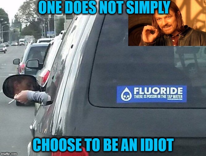 When You See It... | ONE DOES NOT SIMPLY; CHOOSE TO BE AN IDIOT | image tagged in fluoride cigarette irony,irony,hypocrisy,smoker,shat brix | made w/ Imgflip meme maker