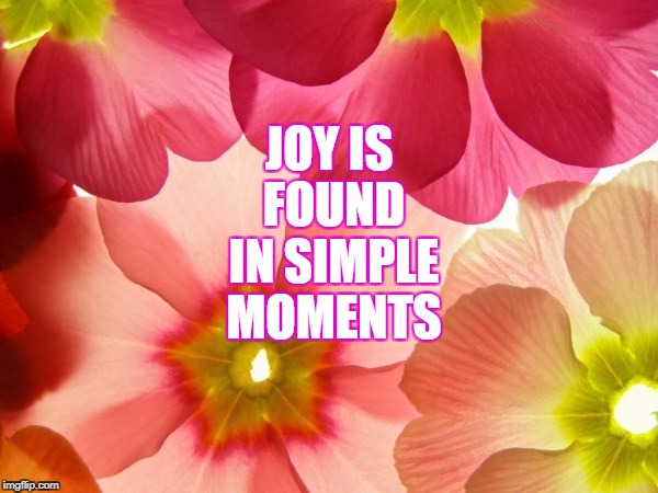 Joy | JOY IS FOUND IN SIMPLE MOMENTS | image tagged in memes | made w/ Imgflip meme maker