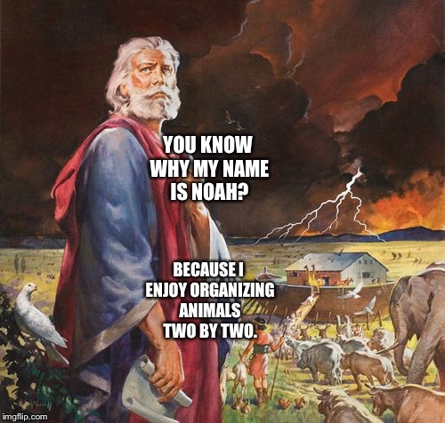 Noah from The Bible  | YOU KNOW WHY MY NAME IS NOAH? BECAUSE I ENJOY ORGANIZING ANIMALS TWO BY TWO. | image tagged in funny memes | made w/ Imgflip meme maker