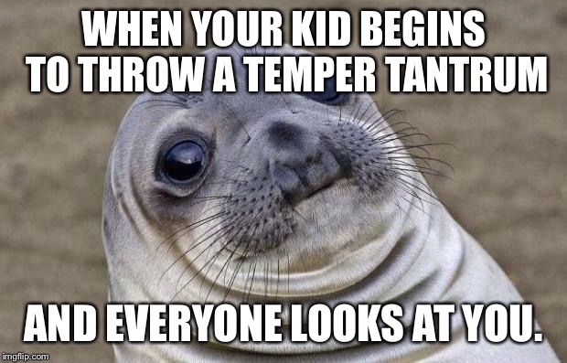 Awkward Moment Sealion Meme | WHEN YOUR KID BEGINS TO THROW A TEMPER TANTRUM AND EVERYONE LOOKS AT YOU. | image tagged in memes,awkward moment sealion | made w/ Imgflip meme maker