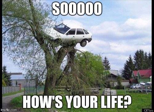 Secure Parking Meme | SOOOOO; HOW'S YOUR LIFE? | image tagged in memes,secure parking | made w/ Imgflip meme maker