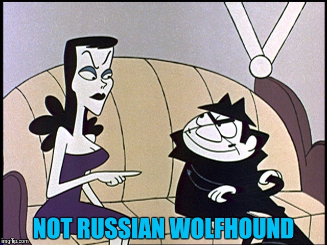 Russia loves Hillary | NOT RUSSIAN WOLFHOUND | image tagged in russia loves hillary | made w/ Imgflip meme maker