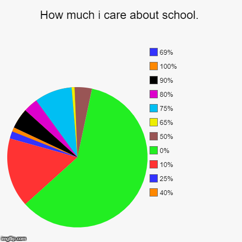 How much i care about school. | 40%, 25%, 10%, 0%, 50%, 65%, 75%, 80%, 90%, 100%, 69% | image tagged in funny,pie charts | made w/ Imgflip chart maker