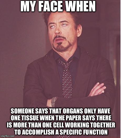 Face You Make Robert Downey Jr Meme | MY FACE WHEN; SOMEONE SAYS THAT ORGANS ONLY HAVE ONE TISSUE WHEN THE PAPER SAYS THERE IS MORE THAN ONE CELL WORKING TOGETHER TO ACCOMPLISH A SPECIFIC FUNCTION | image tagged in memes,face you make robert downey jr | made w/ Imgflip meme maker