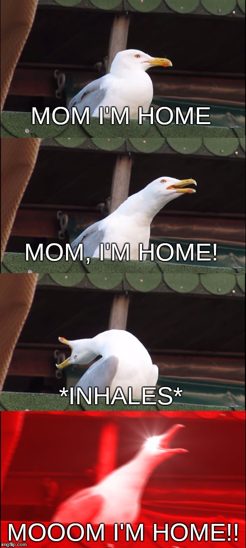 Inhaling Seagull | MOM I'M HOME; MOM, I'M HOME! *INHALES*; MOOOM I'M HOME!! | image tagged in inhaling seagull | made w/ Imgflip meme maker