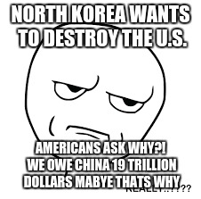 Really | NORTH KOREA WANTS TO DESTROY THE U.S. AMERICANS ASK WHY?! WE OWE CHINA 19 TRILLION DOLLARS MABYE THATS WHY | image tagged in really | made w/ Imgflip meme maker