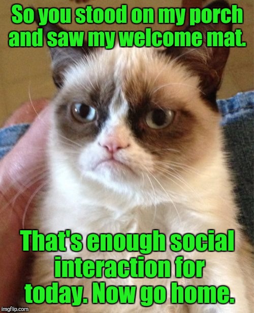 Grumpy Cat Meme | So you stood on my porch and saw my welcome mat. That's enough social interaction for today. Now go home. | image tagged in memes,grumpy cat | made w/ Imgflip meme maker