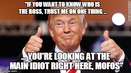 "IF YOU WANT TO KNOW WHO IS THE BOSS,
TRUST ME ON ONE THING ... ... YOU'RE LOOKING AT THE MAIN IDIOT RIGHT HERE, MOFOS" | made w/ Imgflip meme maker