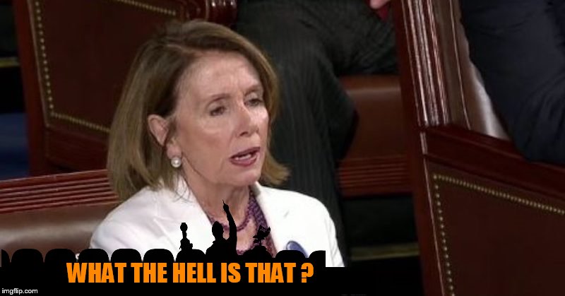 Is that a corpse? | WHAT THE HELL IS THAT ? | image tagged in nancy pelosi,mystery science theater 3000 | made w/ Imgflip meme maker