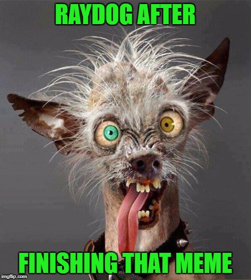 RAYDOG AFTER FINISHING THAT MEME | made w/ Imgflip meme maker