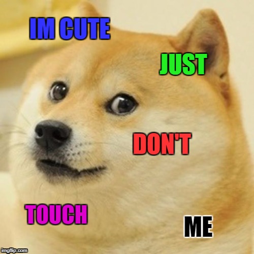 Doge Meme | IM CUTE; JUST; DON'T; TOUCH; ME | image tagged in memes,doge | made w/ Imgflip meme maker