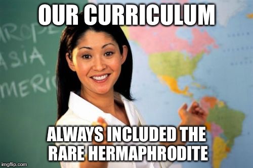 Teacher | OUR CURRICULUM ALWAYS INCLUDED THE RARE HERMAPHRODITE | image tagged in teacher | made w/ Imgflip meme maker