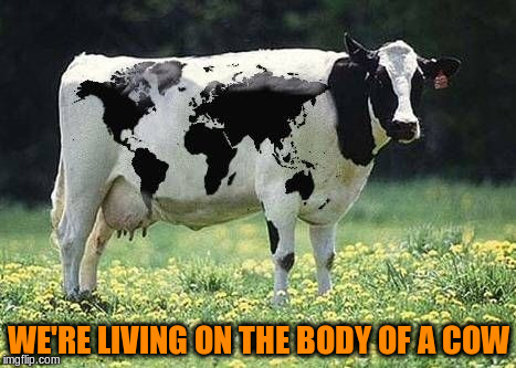 WE'RE LIVING ON THE BODY OF A COW | made w/ Imgflip meme maker
