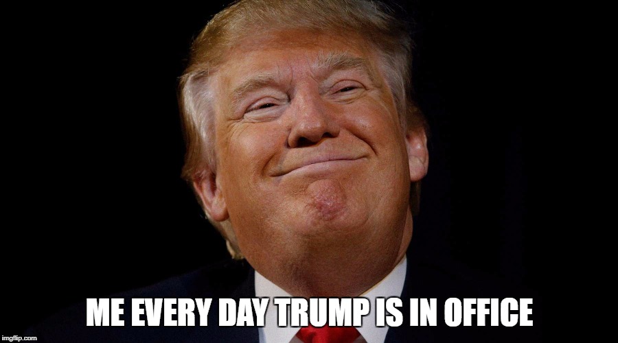 ME EVERY DAY TRUMP IS IN OFFICE | made w/ Imgflip meme maker