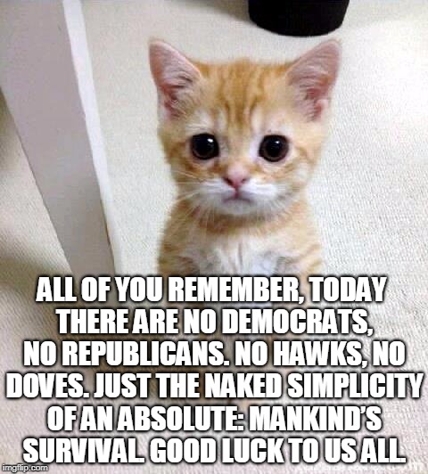 Cute Cat Meme | ALL OF YOU REMEMBER, TODAY THERE ARE NO DEMOCRATS, NO REPUBLICANS. NO HAWKS, NO DOVES. JUST THE NAKED SIMPLICITY OF AN ABSOLUTE: MANKIND’S SURVIVAL. GOOD LUCK TO US ALL. | image tagged in memes,cute cat | made w/ Imgflip meme maker
