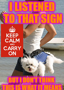CARRY ON! | I LISTENED TO THAT SIGN; BUT I DON'T THINK THIS IS WHAT IT MEANS | image tagged in funny dogs | made w/ Imgflip meme maker