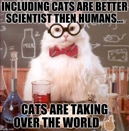Science Cat | INCLUDING CATS ARE BETTER SCIENTIST THEN HUMANS... CATS ARE TAKING OVER THE WORLD 🤞🏽 | image tagged in science cat | made w/ Imgflip meme maker