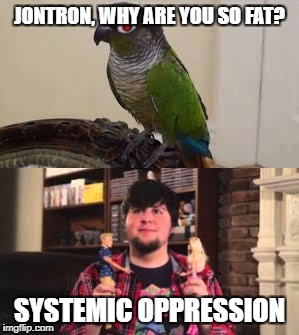 JonTron is fat because... | JONTRON, WHY ARE YOU SO FAT? SYSTEMIC OPPRESSION | image tagged in jontron,systemic oppression | made w/ Imgflip meme maker