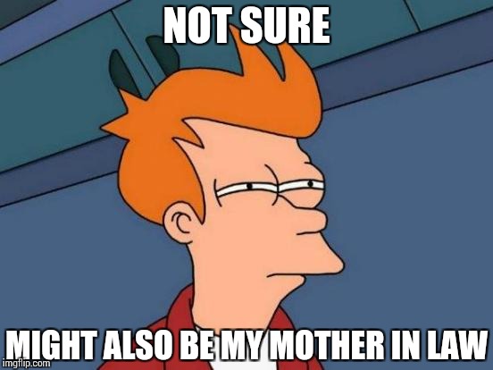 Futurama Fry Meme | NOT SURE MIGHT ALSO BE MY MOTHER IN LAW | image tagged in memes,futurama fry | made w/ Imgflip meme maker