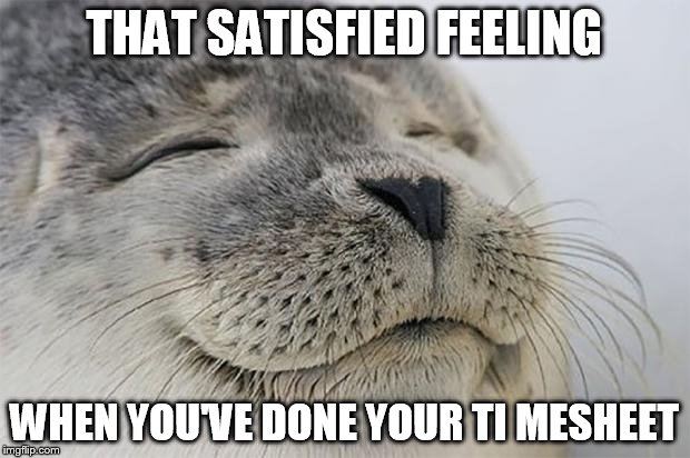 Satisfied Seal | THAT SATISFIED FEELING; WHEN YOU'VE DONE YOUR TI MESHEET | image tagged in memes,satisfied seal | made w/ Imgflip meme maker