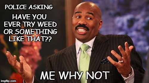Steve Harvey Meme | POLICE ASKING; HAVE YOU EVER TRY WEED OR SOMETHING LIKE THAT?? ME WHY NOT | image tagged in memes,steve harvey | made w/ Imgflip meme maker