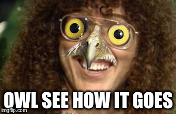 OWL SEE HOW IT GOES | made w/ Imgflip meme maker