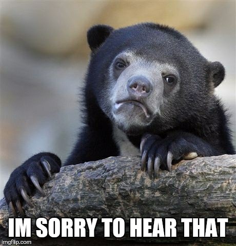 Confession Bear Meme | IM SORRY TO HEAR THAT | image tagged in memes,confession bear | made w/ Imgflip meme maker