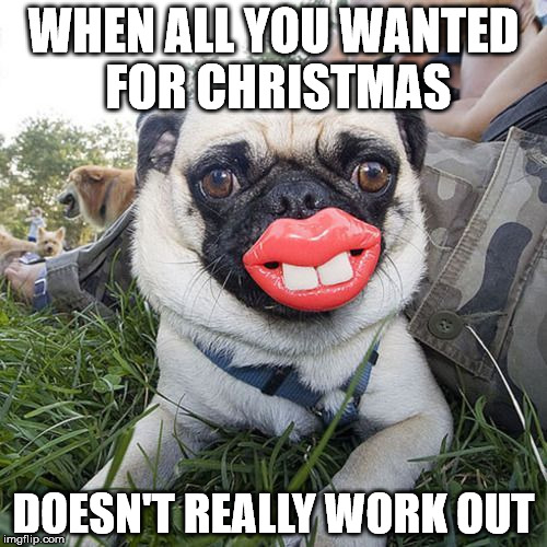 Christmas Wish | WHEN ALL YOU WANTED FOR CHRISTMAS; DOESN'T REALLY WORK OUT | image tagged in christmas presents,war on christmas | made w/ Imgflip meme maker