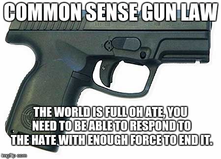 Pistol | COMMON SENSE GUN LAW; THE WORLD IS FULL OH ATE, YOU NEED TO BE ABLE TO RESPOND TO THE HATE WITH ENOUGH FORCE TO END IT. | image tagged in pistol | made w/ Imgflip meme maker