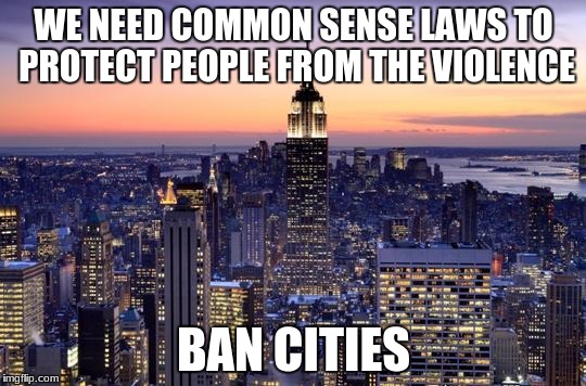 NEW YORK CITY | WE NEED COMMON SENSE LAWS TO PROTECT PEOPLE FROM THE VIOLENCE; BAN CITIES | image tagged in new york city | made w/ Imgflip meme maker
