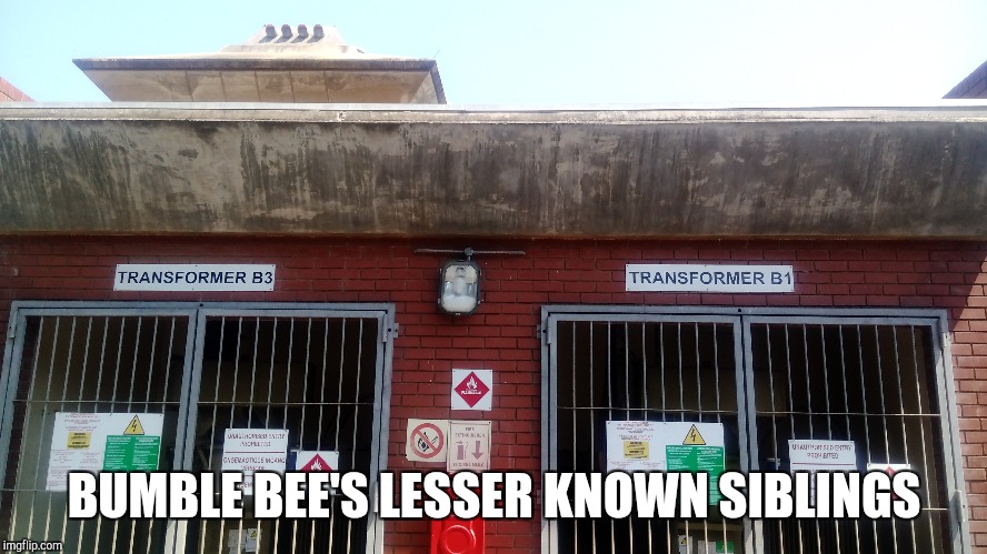 BUMBLE BEE'S LESSER KNOWN SIBLINGS | image tagged in movies,transformers | made w/ Imgflip meme maker