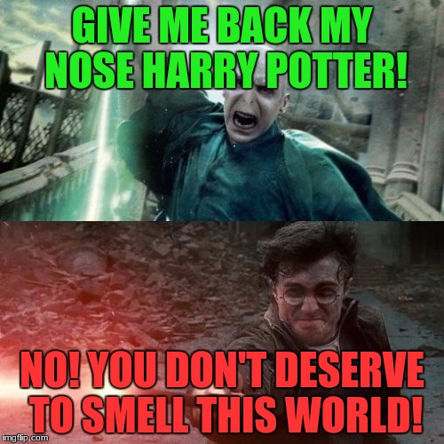 Harry Potter meme | GIVE ME BACK MY NOSE HARRY POTTER! NO! YOU DON'T DESERVE TO SMELL THIS WORLD! | image tagged in harry potter meme | made w/ Imgflip meme maker