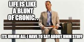 LIFE IS LIKE A BLUNT OF CRONIC. . ITS UMMM ALL I HAVE TO SAY ABOUT UMM STUFF | made w/ Imgflip meme maker