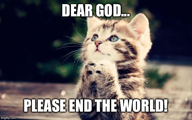 Cute Kitty | DEAR GOD... PLEASE END THE WORLD! | image tagged in cute kitty | made w/ Imgflip meme maker