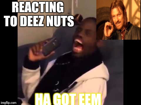 Deez Nutz | REACTING TO DEEZ NUTS; HA GOT EEM | image tagged in deez nuts | made w/ Imgflip meme maker