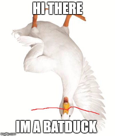 aflac duck | HI THERE; IM A BATDUCK | image tagged in aflac duck | made w/ Imgflip meme maker