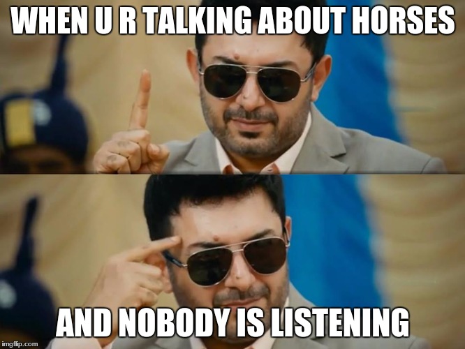 nobody listening...... | WHEN U R TALKING ABOUT HORSES; AND NOBODY IS LISTENING | image tagged in horses | made w/ Imgflip meme maker